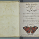 Image for article titled Who Painted This 300-Year-Old Guidebook to Every Imaginable Color?